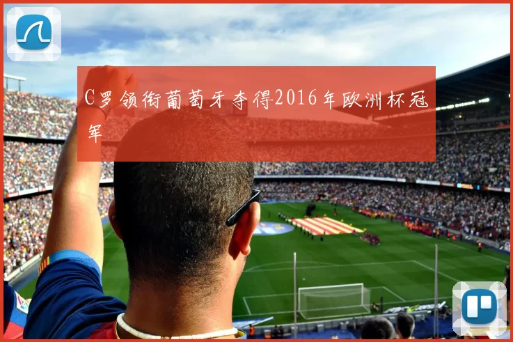 C罗领衔葡萄牙夺得2016年欧洲杯冠军