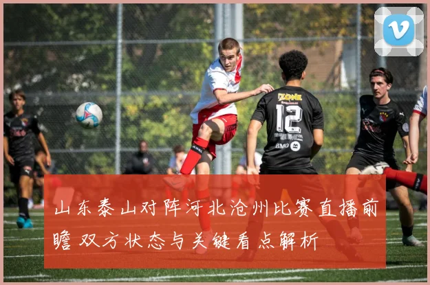 山东泰山对阵河北沧州比赛直播前瞻 双方状态与关键看点解析